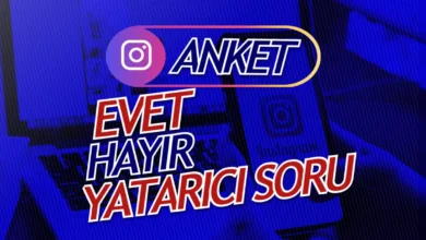 Instagram Anket Soruları
