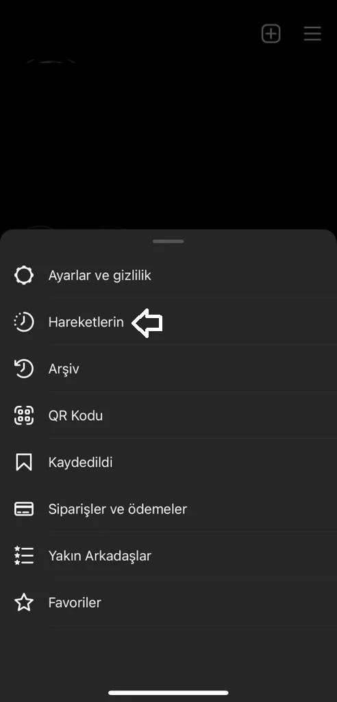 İnstagram Beğendiklerimi Görme