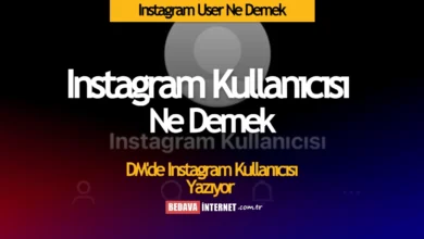 Instagram User Ne Demek